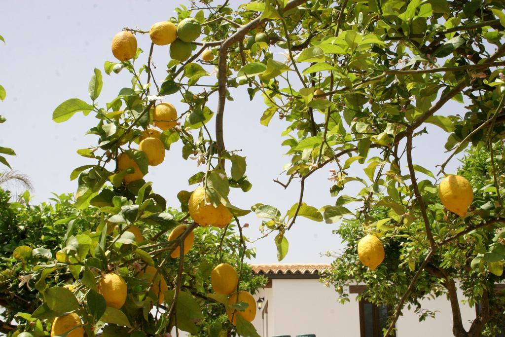 Terra Dei Limoni Hotell Lido di Noto Exteriör bild